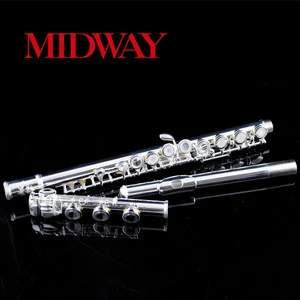 17 hole silver plated , with a flute case , is a low price flutes
