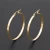 Import 2017 Fashion Stainless Steel Envieonmental Gold Plating Hoop Earrings For Women from China
