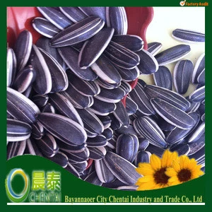 2017 Large Quantity Best Quality Round/Long Type Sunflower Seed