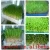Import 2019 New Type Hydroponic Fodder Machine for Animal Feed from China