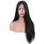 Import 2019 RLN New Fashion  Brazilian real 100% human remy/virgin hair swiss lace front Straight Wigs from China