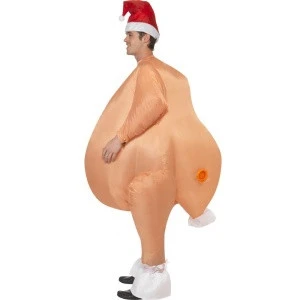 2020 Fancy Party Dress Adult Inflatable Cosplay Suits Christmas Xmas Turkey Mascot Costume