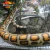 Import 2020 Movement Animatronic Animals Realistic Animal Snake Model Decoration from China