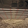 2020 New arrival 600w uv ir led plant light for greenhouse