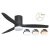 Import 2022 lifestyle 52 Inch LED light black ceiling fan with light Fan for your prosperous life from China