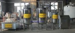 304 Stainless Steel GT-200 Dairy Milk Yogurt Pasteurization Machinery 200L/h