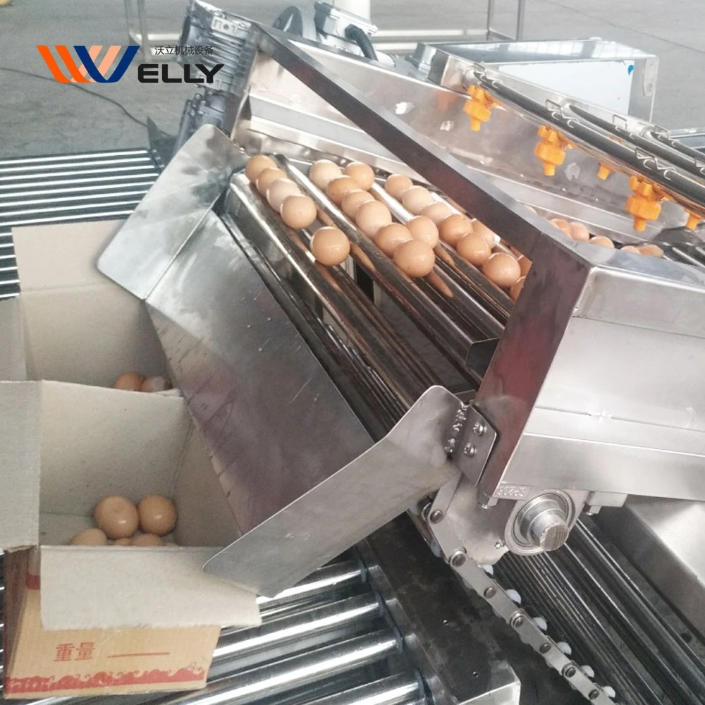 304 stainless steel hen egg cooking machine/ egg cooler/ chicken egg peeler machine
