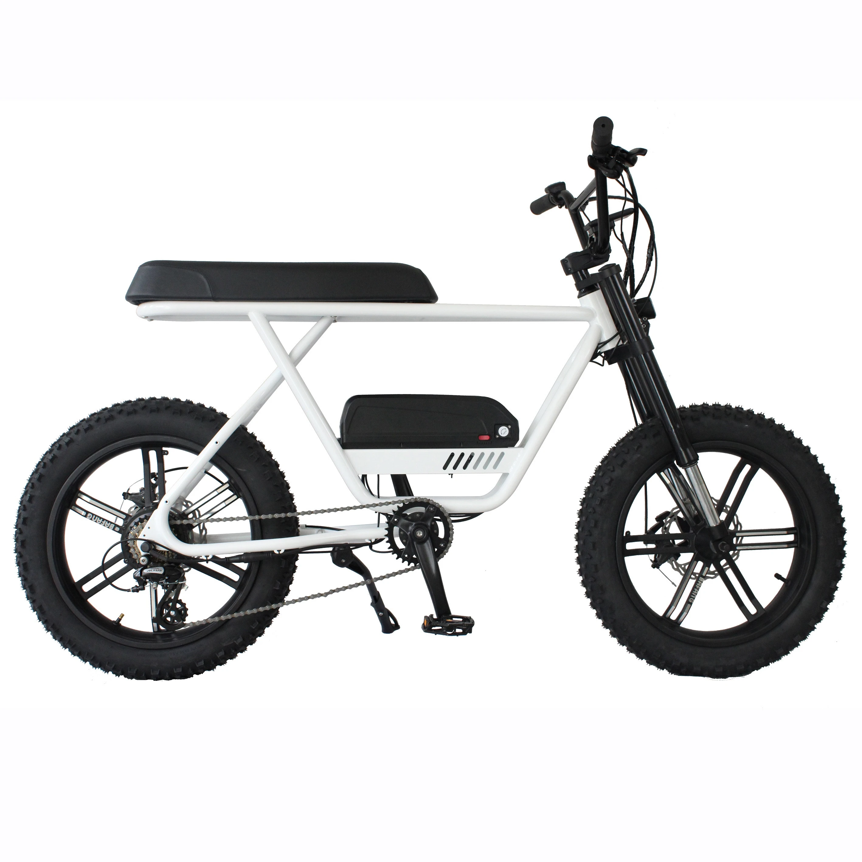 48V 500W 750W 1000W Aluminum Alloy Frame Power China Cheap Vintage E Bike Ebike Dirt Mountain Fat Tire Bicycle Electric Bike