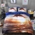 Import 4pcs Twin or Full or Queen or King 100% Polyester Printed Microfibre Bed Sheet Bedding Set from China