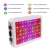 Import 600 w led grow lights full spectrum led grow lights plant for indoor plants with veg and blook from China