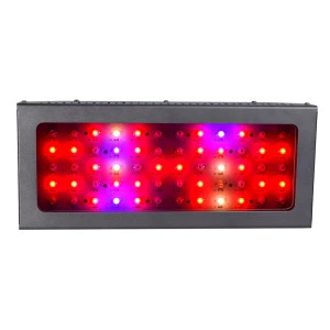 600W High Power LED Grow Light Full Spectrum Grow Lamp with IR&amp;UV for Greenhouse Hydroponic Indoor Plants Veg and Flower