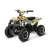 800w 1000w electric mini atv off-road go kart for kids