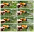 Import 9 patterns garden spray hose nozzle power pressure water jet  sprayer from China