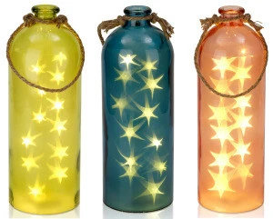 A wonderful gift idea and a great party light decoration for garden parties LED Bottle Multiple Designs