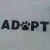Import ADOPT Sticker decal dog die cut waterproof vinyl window Sticker from China
