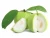 Import Adorable Fresh Guava FRESH GUAVA FRUITS From South Africa from Austria