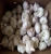 Import agricultural fresh vegetable fresh garlic 2016 crop from China