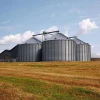 Gold Supplier 500/1000/10000 Tons Paddy Rice Grain Storage Silo For Farm