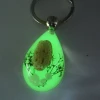  new designs acrylic souvenir keychain natural sea snail fluorescent resin keychain keys hot selling