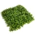 Import artificial ornamental vertical grass plant for home decorative boxwood panel from China