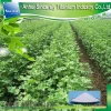 AS brand super absorbent polymer for agriculture