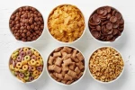 Automatic Hot Air Breakfast Cereal Corn Flakes Snacks Puffed Machinery