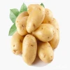 Bangladeshi Fresh Potato
