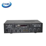 Beautiful appearance CABO 50W profesional power amplifier
