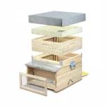 Benefitbee beekeeping equipment honey bee hive supplier 2 layers 10 frames wooden Italy beehive