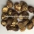 Import Best quality dried  shiitake chips truffle mushroom  cultivated bags from China