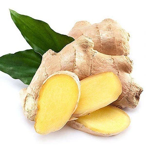 Best Quality Indian Organic Fresh Ginger