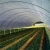 Import Best Selling products 200micron greenhouse plastic film from China