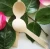 Import biodegradable disposable bamboo spoons from China