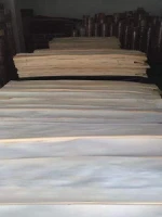 Birch veneer in rotary cut for plywood