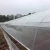 Import Brand new solar panel tunnel green house plastic garden igloo grow tent single span+greenhouses price from China