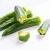 Import Bulk Good Quality Cheap Green Okra from China
