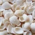 Import Bulk Natural Shells DIY Crafts Seashells With Holes from China
