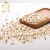 Import bulk organic protein rich malt barley Barley High Quality Ukraine Pearl Job tears from China