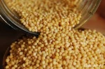 Bulk Quality Yellow Millet