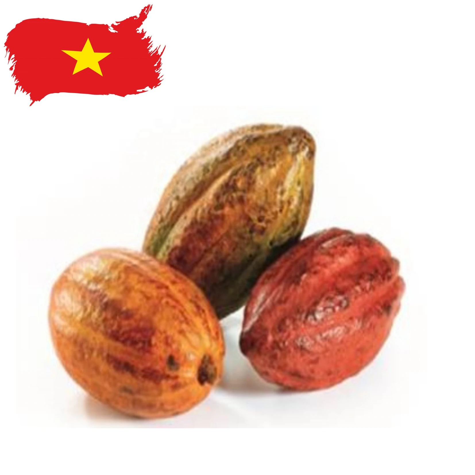 CacaoTrace Cocoa Beans From Mekong Vietnam - Fruity Flavor Profile