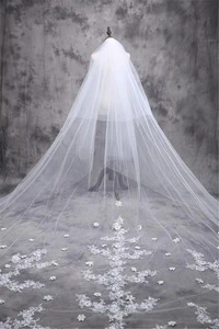 Cathedral Train Luxury 5m Long Luxury wedding veil with appliqued lace wedding dress accessories