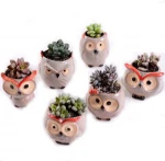 Ceramic Owl Shaped Flower Pot Planter Lavender Flower Planters