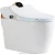 Import ceramic wc toilet sanitary ware smart bathroom intelligent toilet from China