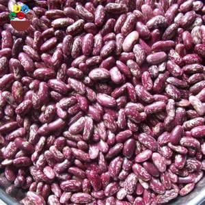 cheap price for speckled butter beans dried high quality kidney beans market