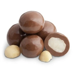 Cheap Prices of Macadamia Nuts Brown For Sale/ OFFERED IN EUROPE