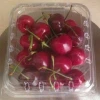 Cherry fresh