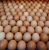 Import Chicken Table Eggs White and Brown Eggs 53-70 Grams from France