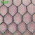 Import chicken wire mesh Fencehexagonal gabion box chicken wire mesh stainless from China