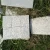 Import China G603 white granite  natural stone for stepping stone/wall cladding/floor tiles etc from China