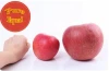 China supplier of Fresh hanfu apple fresh apple fruit from Liaoning province